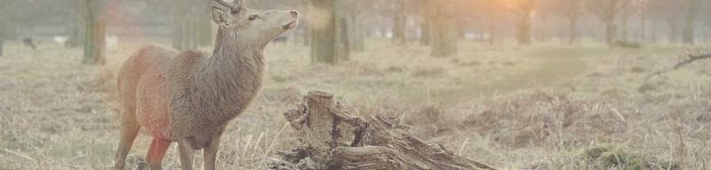 HubSpot marketing hub gaps: SendGrid vs Resend in practice