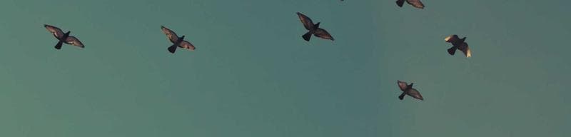 agent-ready ESP selection: HubSpot vs SendGrid in practice