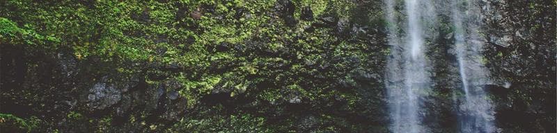A/B testing AI subject lines: Braze vs Brew in practice
