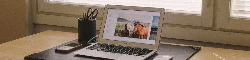 A/B testing AI subject lines: Klaviyo vs beehiiv in practice