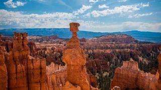 transactional vs marketing stacks: Brew vs Loops in practice
