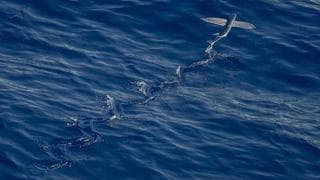 transactional vs marketing stacks: beehiiv vs Customer.io in practice