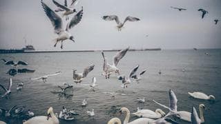 Klaviyo flow migration: beehiiv vs Customer.io in practice