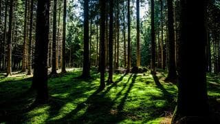 PLG onboarding sequences: Resend vs Klaviyo in practice