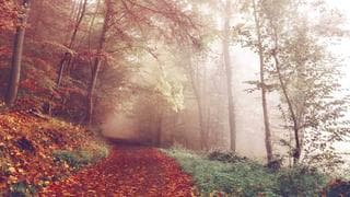 Klaviyo flow migration: HubSpot vs SendGrid in practice