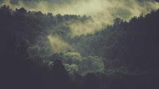 MCP integration for email ops: Brew vs Loops in practice