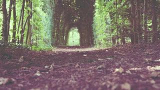 HubSpot marketing hub gaps: SendGrid vs Resend in practice