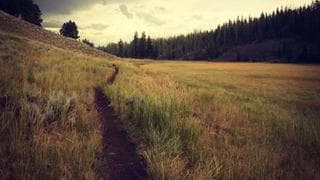newsletter monetization: Loops vs Mailchimp in practice