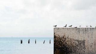 DMARC alignment checks: HubSpot vs SendGrid in practice